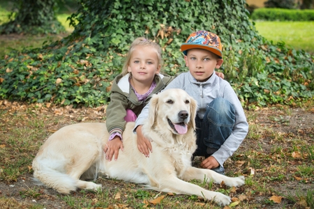 brother and sister playing with his dog in the parkの写真素材