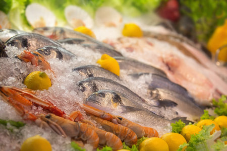 Close up of fresh mediterranean seafood on iceの写真素材