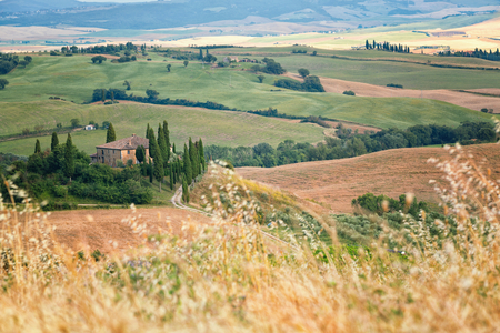 Scenic view of typical Tuscany landscapeの写真素材