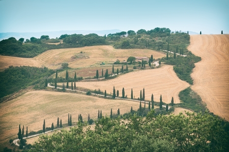 Winding Tuscan road. Montecchiello, Italyの写真素材