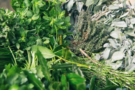 Mix of fresh herbs backgroundの写真素材