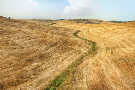 Rural countryside landscape in Tuscany region of Italyの写真素材