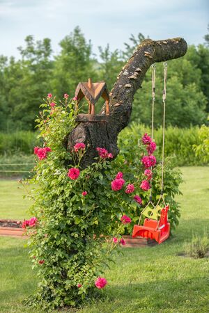 blooming bougainvillea red rose with birdhouseの写真素材