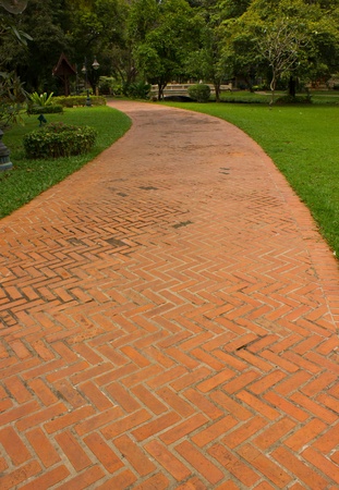 Walk in the park.の写真素材