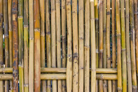 Bamboo fence for demarcation and decorations.の写真素材