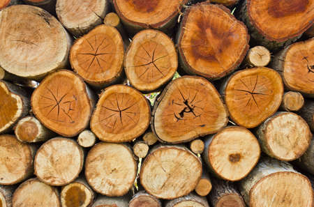 Timber stacked layers of different size.の写真素材