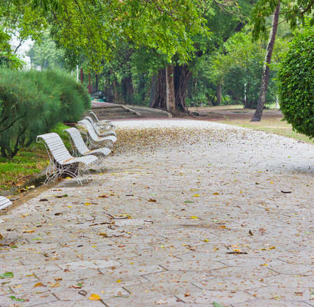 The green park of quietの写真素材