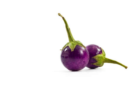 Eggplant purple on white background の写真素材