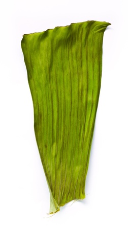 Dried banana leaf on white background の写真素材