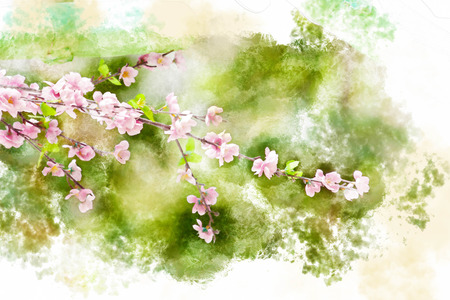 Watercolor painting violet flower.の写真素材