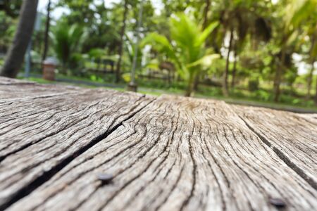 Old wooden board in the garden.の写真素材