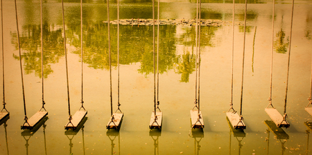Swings on lakeの写真素材