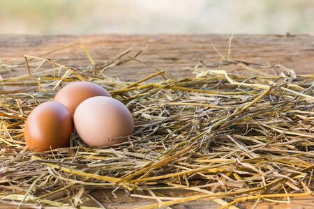 Organic multi-color eggsの写真素材