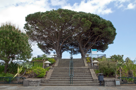 Madeira, Funchal, Pico dos Barcelosの写真素材