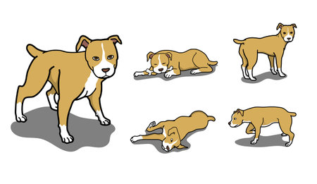 Pitbull terrier cartoon character setのイラスト素材