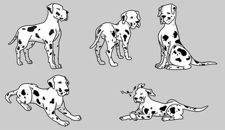 Great dane cartoon character setのイラスト素材