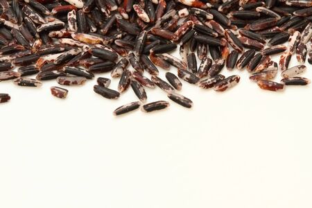 Rice Grain の写真素材