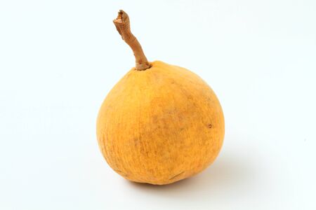 Tropical fruit,  santol on whiteの写真素材