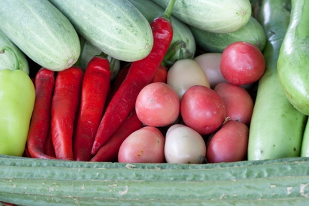 pile of vegetable, chili,tomato,cucumber  ,eggplantの写真素材