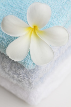 set of towel and plumeria flowerの写真素材