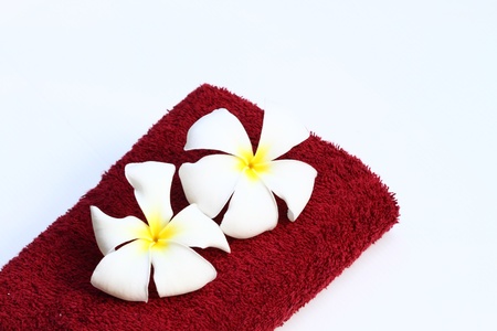 towelの写真素材