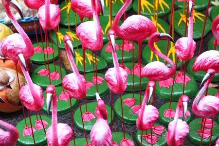 flamingo backgroundの写真素材