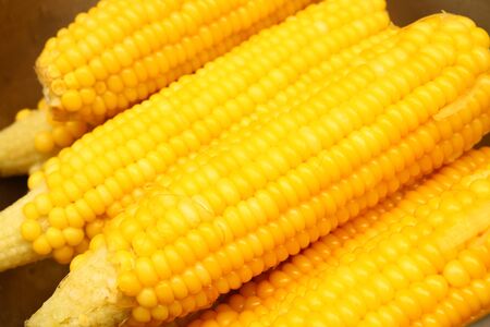 sweet cornの写真素材