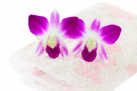 Towelの写真素材