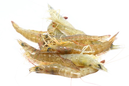 fresh prawnの写真素材