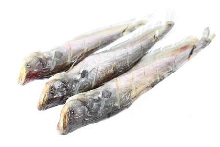 dried fish 