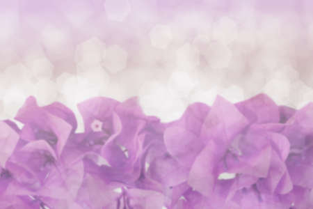 Flower background