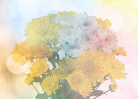 Flower backgroundの写真素材
