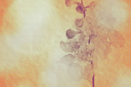 Flower backgroundの写真素材