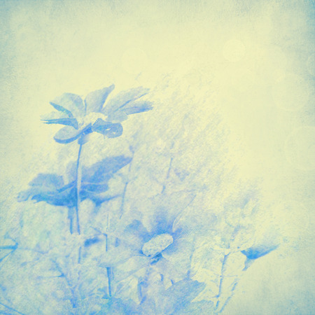 Flower backgroundの写真素材