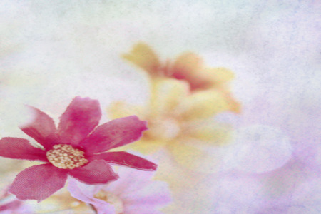 pretty flowers bloming in soft and blur style for backgroundの写真素材