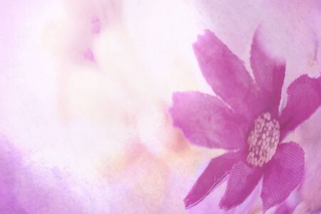 pretty flowers bloming in soft and blur style for backgroundの写真素材