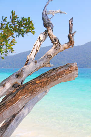 Beautiful sea at tropical island, Koh Lipe, Andaman Sea, Thailandの写真素材