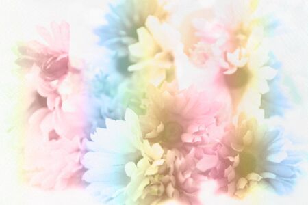pretty flowers blooming in soft and blur style for backgroundの写真素材