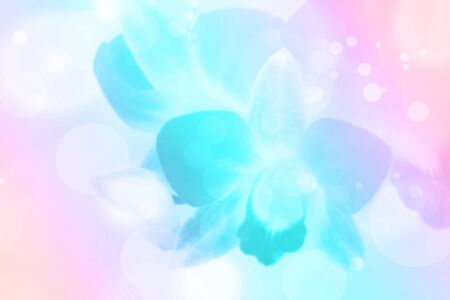 flower backgroundの写真素材