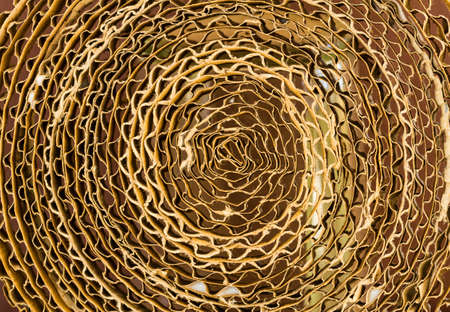 Macro texture of cardboard in the sectional of the folded in several layersの写真素材