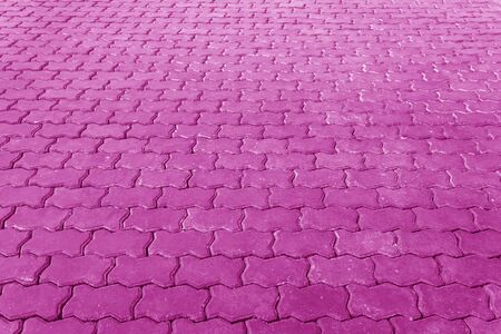 Brick pathway colorful in the parkの写真素材