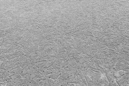 Horizontal landscape hole of Ocypode ceratophthalma crab on a sandy beach use for background