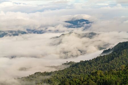 The morning sky and fog at Phanern Thung Kaeng Krachan National Park, Petchaburi .Thailand