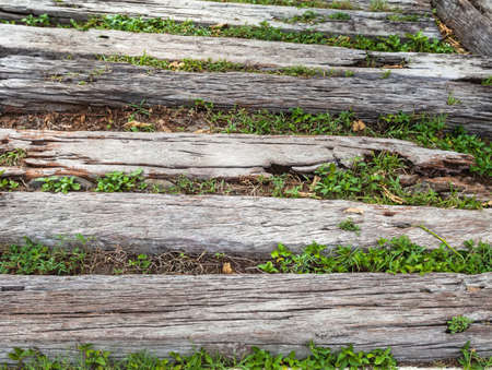 Abstract grunge wood texture on walking way