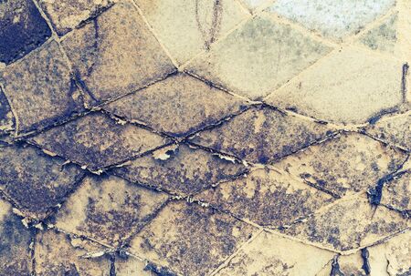 Termite nest on a sheet of paper