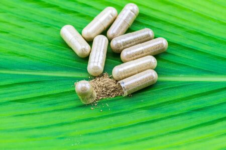 Herbal capsule and powder on green leaf  background.の写真素材