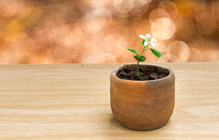 Orange bokeh light on water drop background.の写真素材