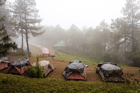 Dome tent camping in sea of mist at Doi Pha Hom Pok National Park,Thailand.