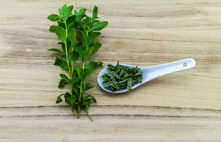 Close up stevia plant with  dried leaf in wooden  on wooden board