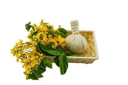 Closed up yellow flower of Burmese Rosewood or Pterocarpus indicus Willd,Burma Padauk and comoressing ball in basket isolated on white background.Saved with clipping path.の写真素材